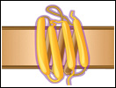 Click to view animation about Light-Driven Ion Pumps and Sensors